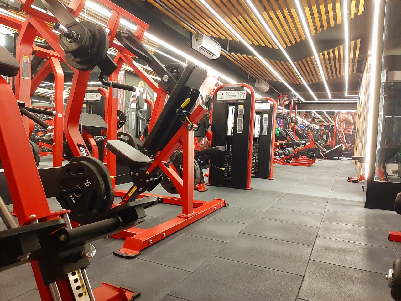 Multi gym near Newtown Best Multi gym in Newtown Multi gym for Male